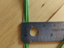Carex densa
